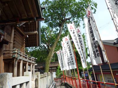 20100825022154.jpg