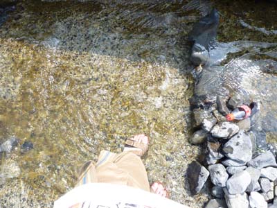 20100825022257.jpg