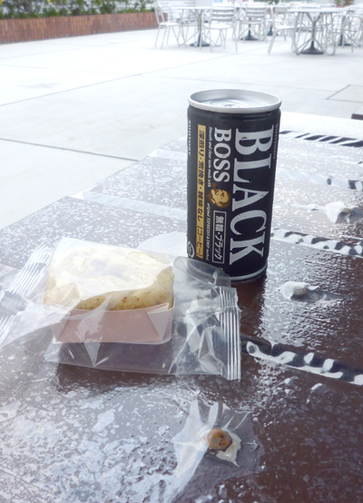 20110811132629.jpg