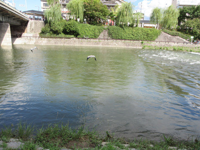 IMG_00603.jpg