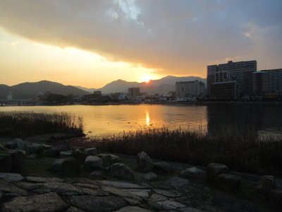 IMG_1651.jpg