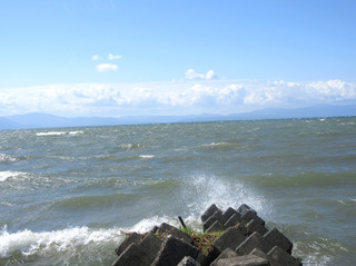 IMG_2317.jpg