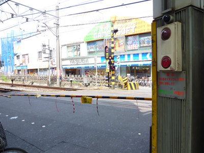 P1000161.jpg