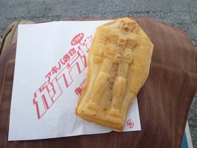 P1000219.jpg