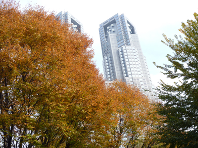 P1000570.jpg