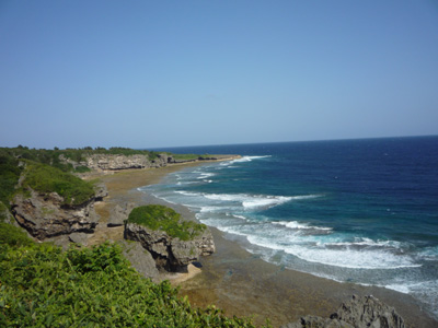 P1010493.jpg