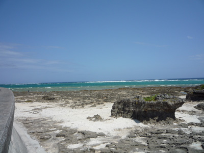 P1010626.jpg