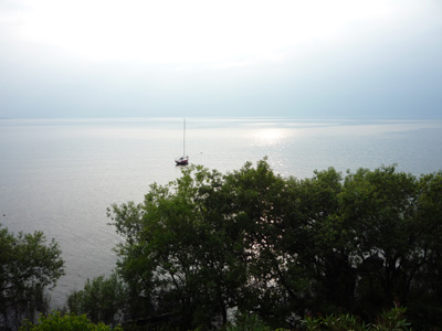 P1010803.jpg