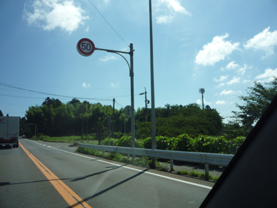 P1010935.jpg