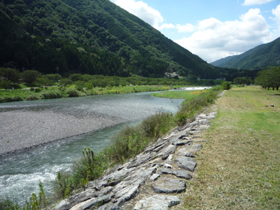 P1010944.jpg