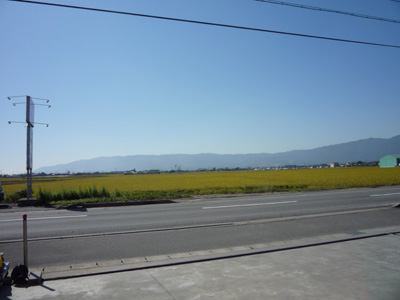 P1020213.jpg