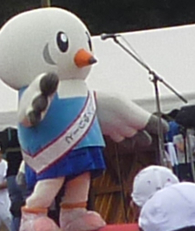 P1020791.jpg