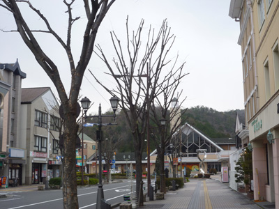 P1030410.jpg