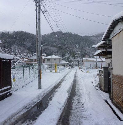 P1030550.jpg