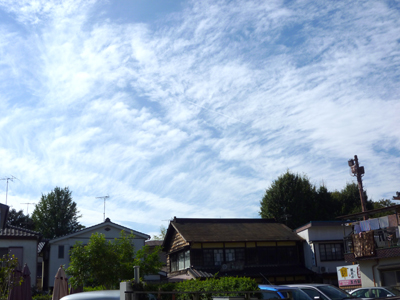 P1050136.jpg
