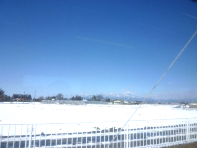 P1050423.jpg