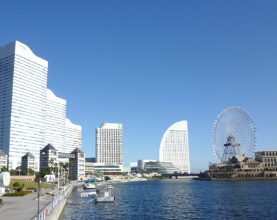 P1060159.jpg