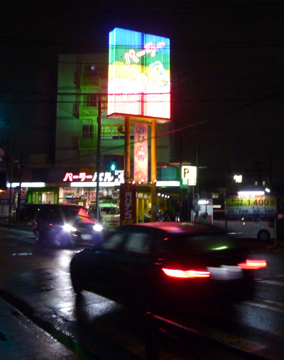 P1060185.jpg